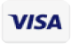 Visa Card Payment